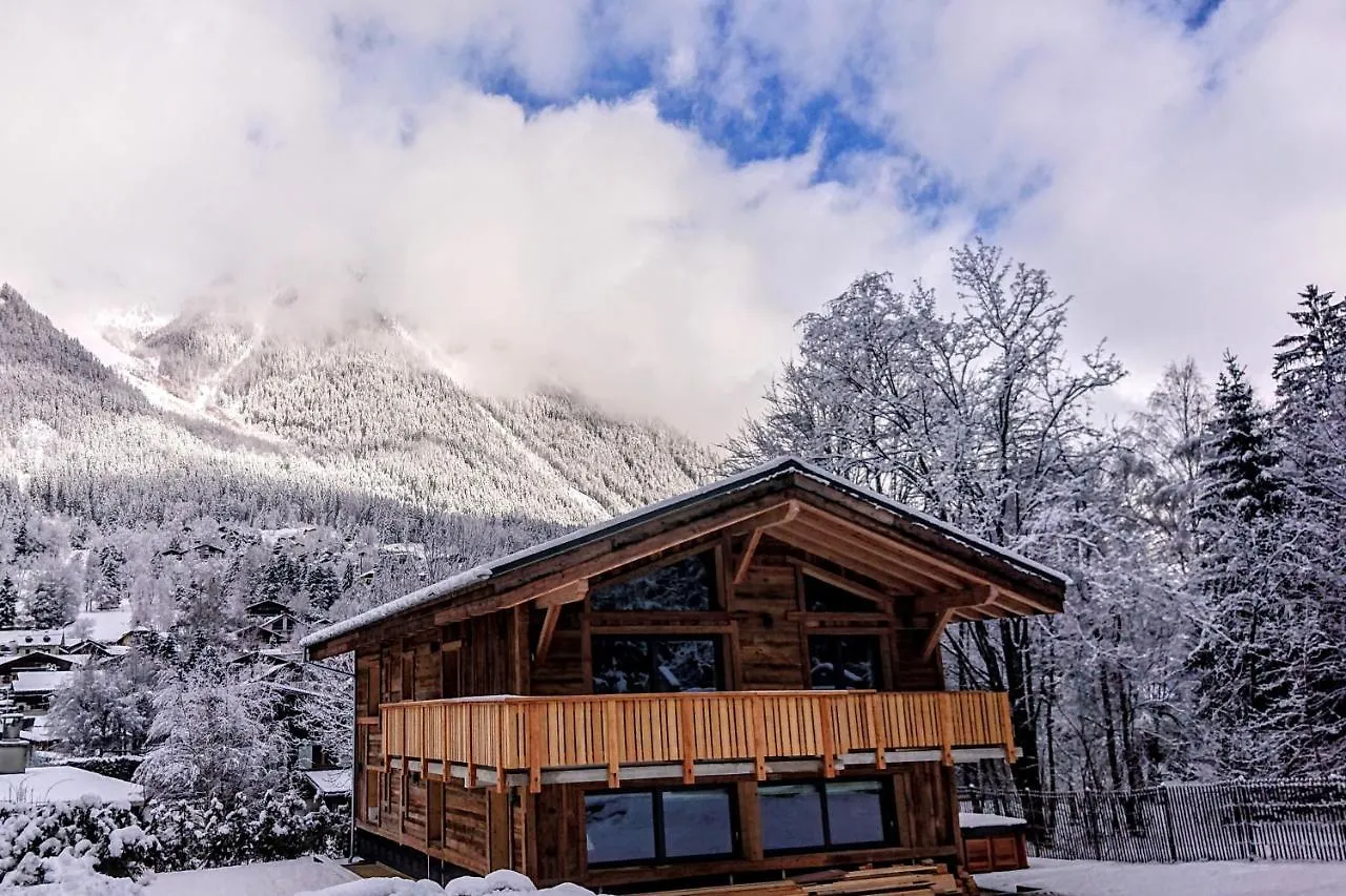 Chalet Des Amis Appt 2 - Chamonix All Year Apartment